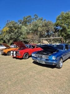 Sunday Session - Classic Cars on the Green